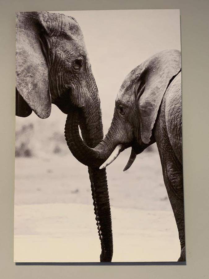 Elephant House, 2 Bedroom House, Next To Pilanesberg And Sun City Mogwase ภายนอก รูปภาพ